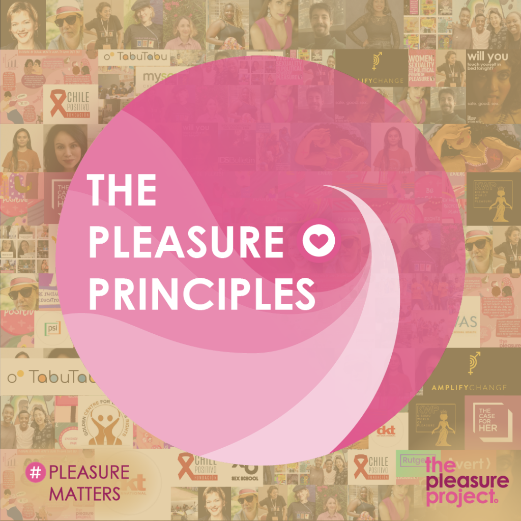 the pleasure project pleasure principles graphic