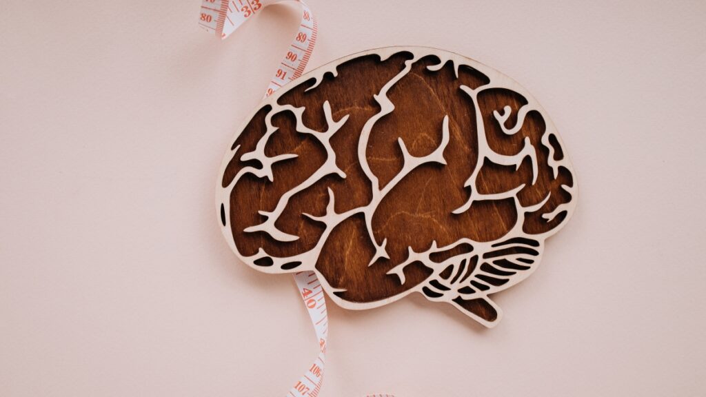 A wooden model of a brain with a measuring tape