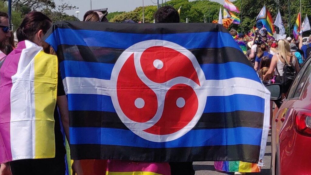 BDSM Pride flag being held at a inclusive Pride march