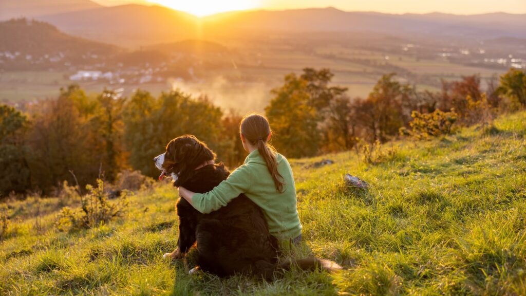 young woman sits with a Bernese Mountain dog on a mountain