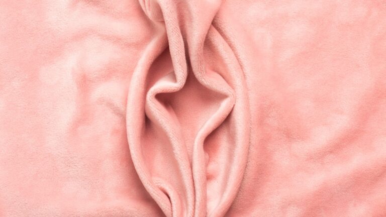 Pink fabric shaped like labia