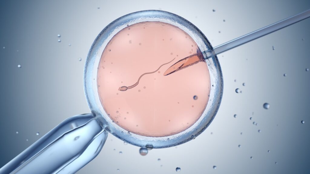 in vitro fertilization closeup